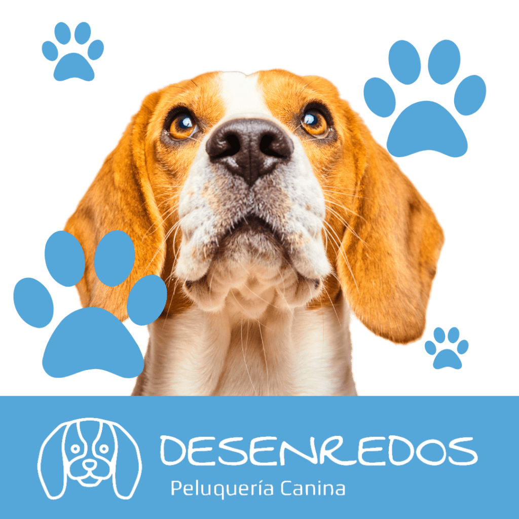 Peluquería Canina Desenredos